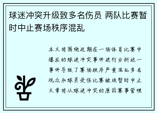 球迷冲突升级致多名伤员 两队比赛暂时中止赛场秩序混乱